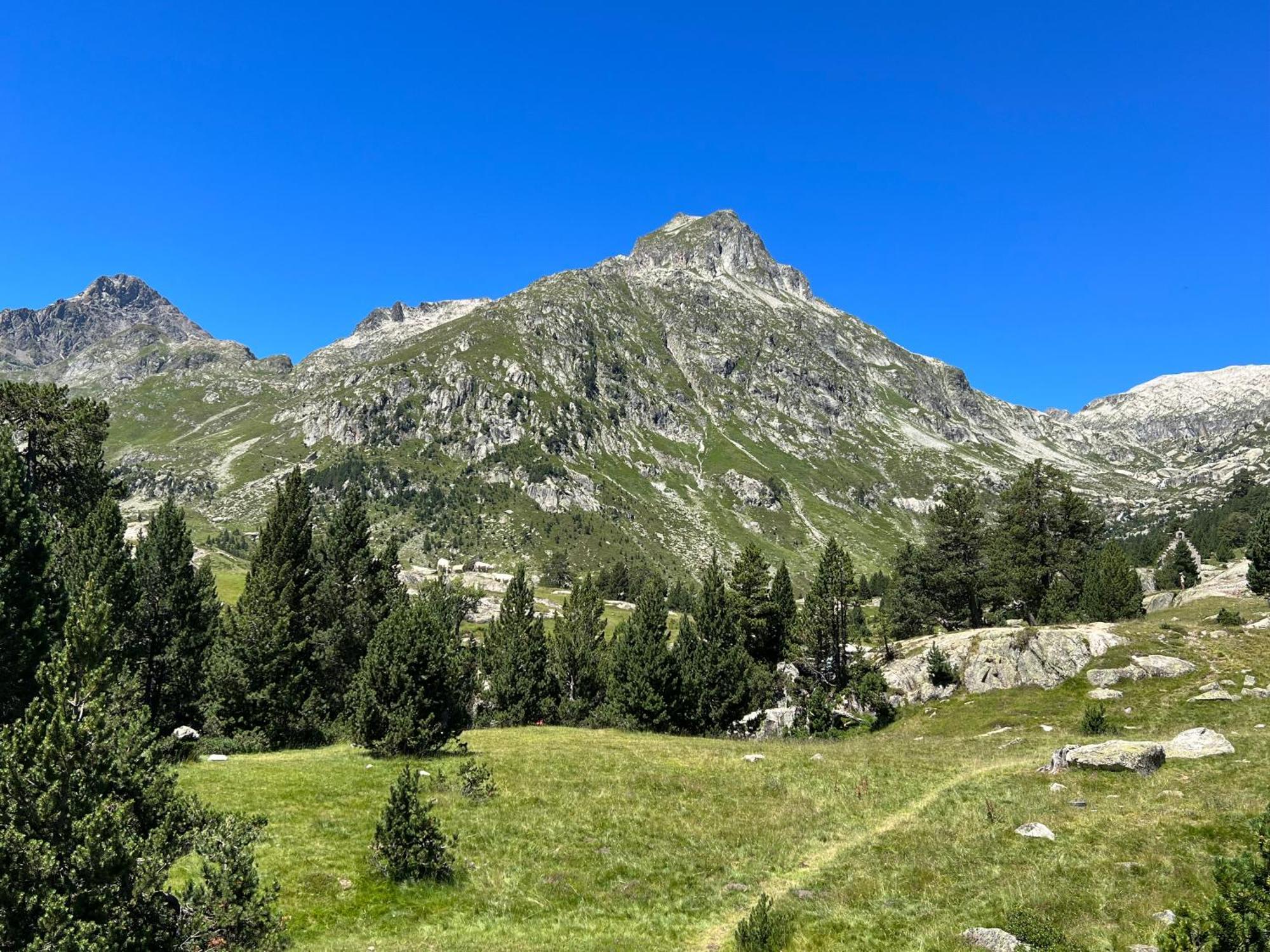 Charmant Appartement Au Calme En Plein Centre Ville Avec Wifi Et Linge De Maison Inclus Cauterets Buitenkant foto